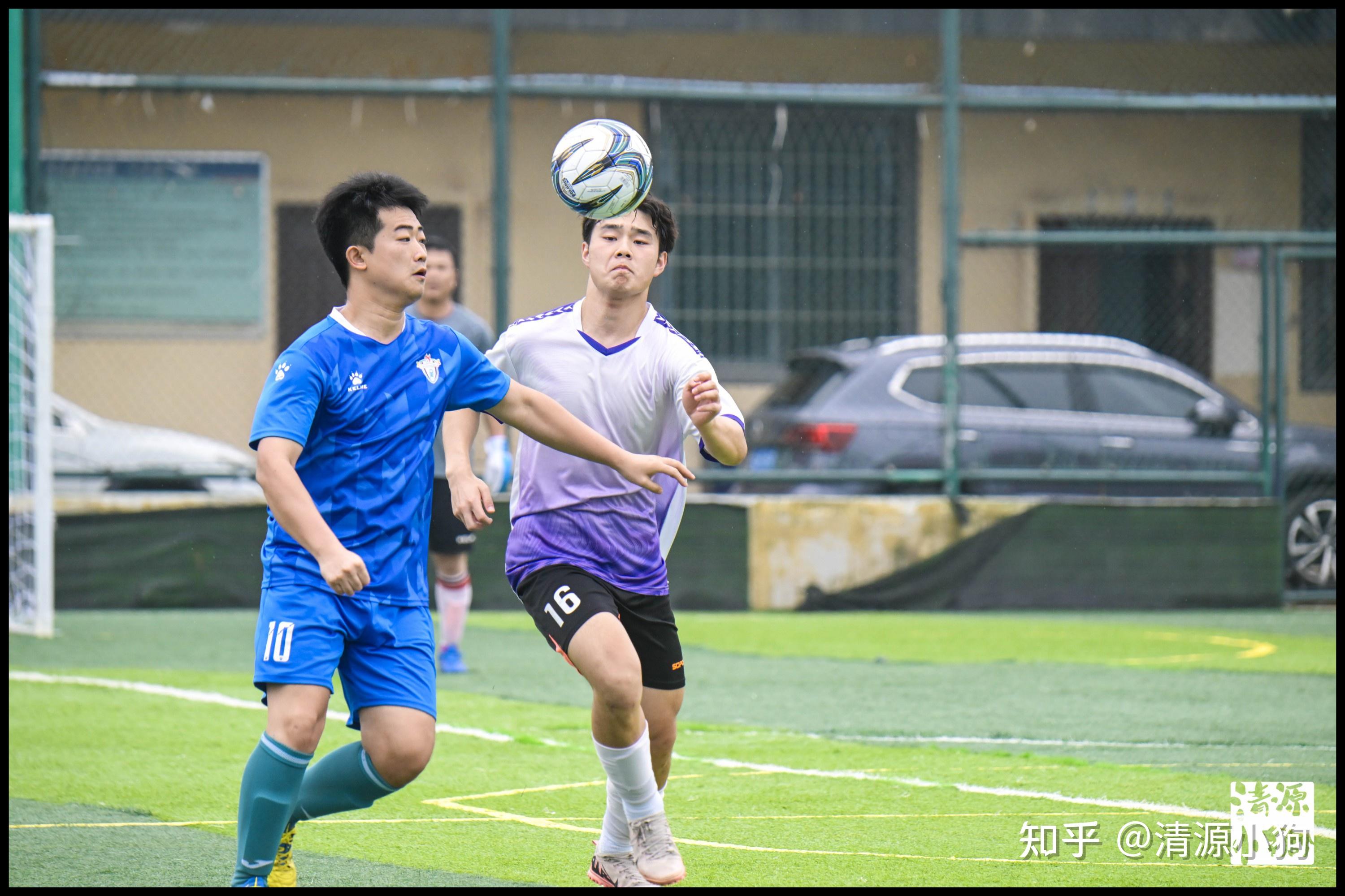 与清晰的 与清晰的